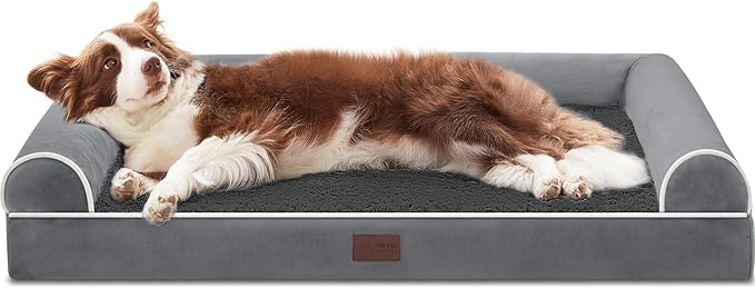 Orthopedic Dog Beds for Large Dogs