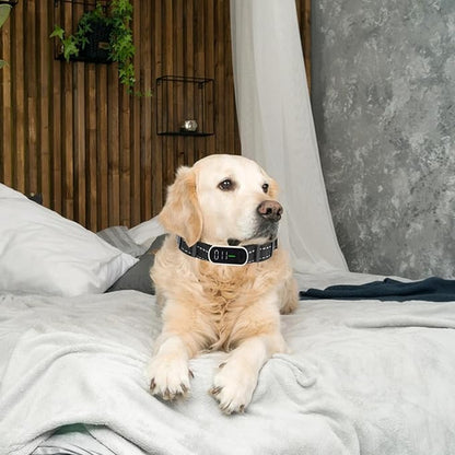 Reflective Collar Replacement Strap (2cm Wide)