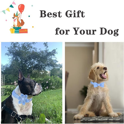 Unique style paws Dog Collar with Flower Tie