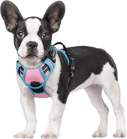 rabbitgoo Dog Harness, No-Pull Pet Harness with 2 Leash Clips, Adjustable Soft Padded Dog Vest, Reflective No-Choke Pet Oxford Vest with Easy Control Handle for Large Dogs, Pink & Blue, S