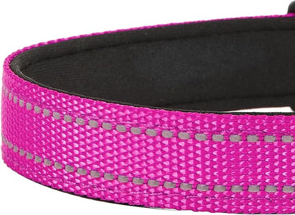 Reflective Dog Collar