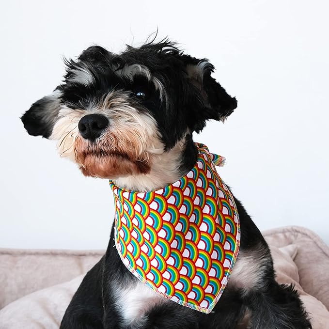Lionet Paws Rainbow Bandana Washable Cotton Handkerchief Scarf