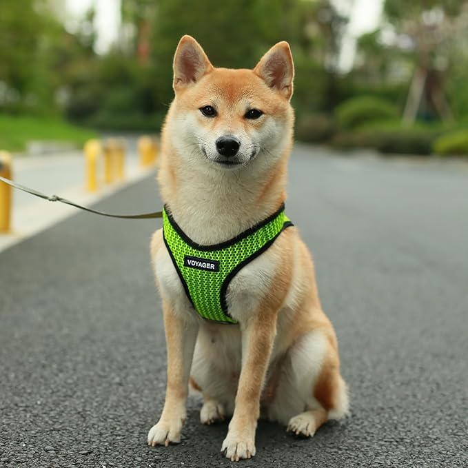 Voyager Step-in Air Dog Harness - All Weather Mesh Step in Vest Harness for Small and Medium Dogs and Cats by Best Pet Supplies - Harness (Lime Green 2-Tone), L (Chest: 18-20.5")