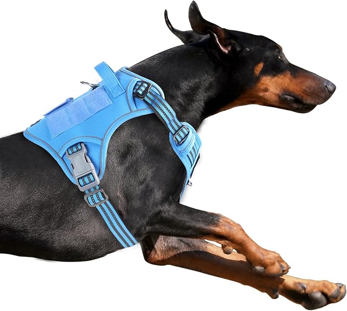 BUMBIN Tactical Dog Harness for Medium Dogs No Pull, Famous TIK Tok No Pull Puppy Harness, Fit Smart Reflective Pet Walking Harness for Training, Adjustable Dog Vest Harness with Handle Blue M