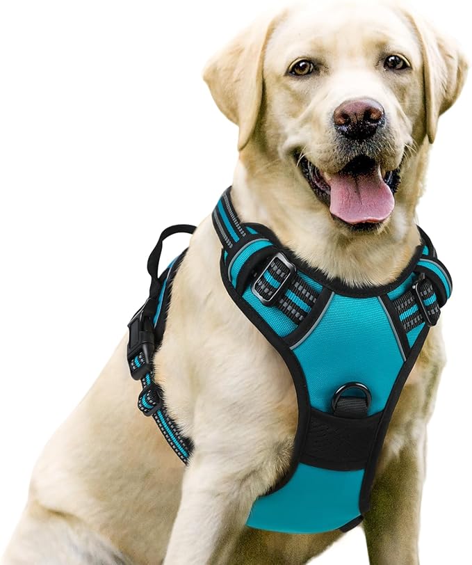 rabbitgoo Dog Harness, No-Pull Pet Harness with 2 Leash Clips, Adjustable Soft Padded Dog Vest, Reflective No-Choke Pet Oxford Vest with Easy Control Handle for Large Dogs, Teal, L