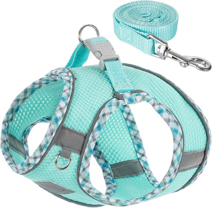 Dog Harness and Leash Set, No Pull Pet Harness for Small Dogs Easy Walking,Soft Breathable Small Dog Harness,Adjustable Reflective Step in Vest Harness for Puppy,Kitten, Cats