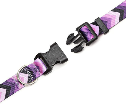 Adjustable Dog Collar with Patterns