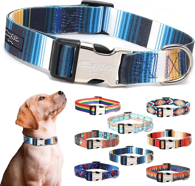 Gilley&Co Dog Collar and Leash Set 8 Designs, 4 Sizes