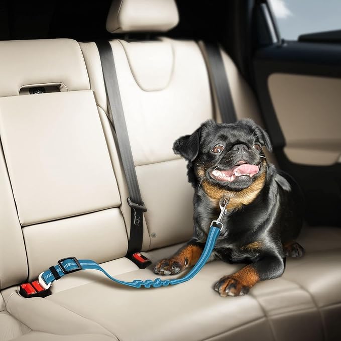 Best Dog Supplies Dog Car Seat Belt