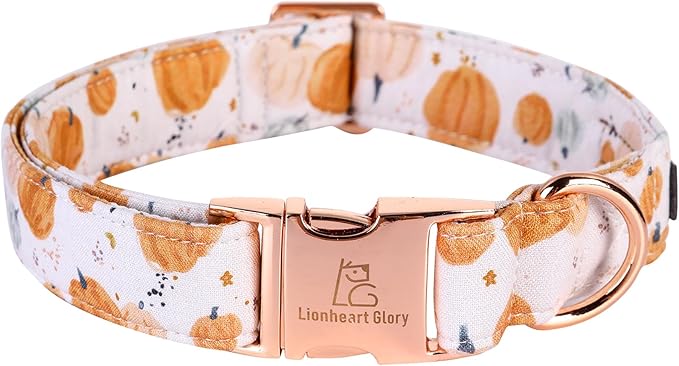 Lionheart glory Dog Collar Halloween Collar Dog Fall Dog Collars