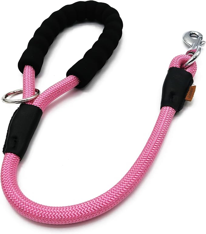 Dog Leash ((1/2") - 2FT, Pink)