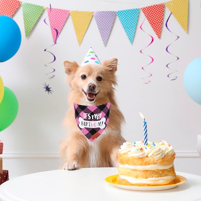 PTDECOR Dog Birthday Party Supplies