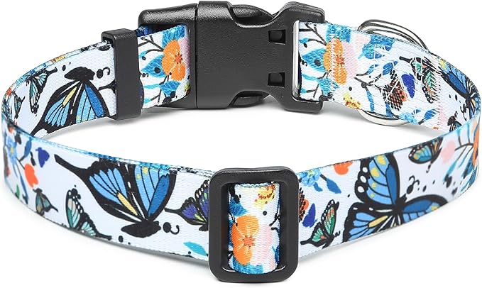 Adjustable Dog Collar with Patterns