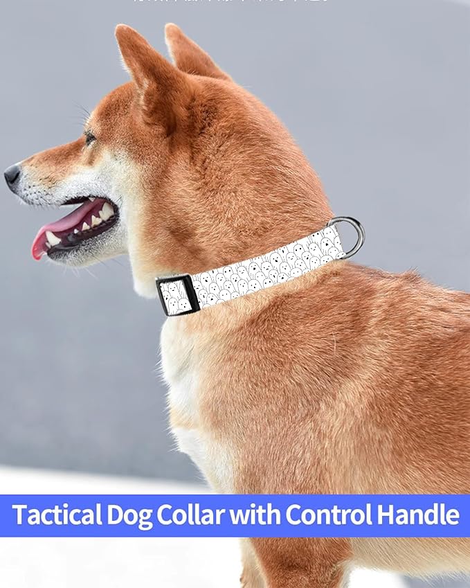 Dog Collar