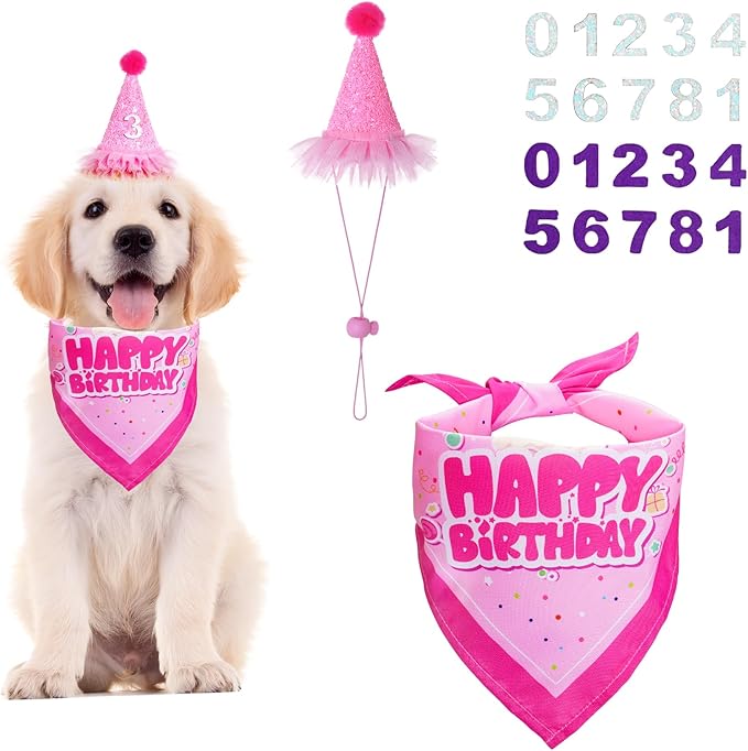 Dog Birthday Party Bandana Hat Set Dog Birthday