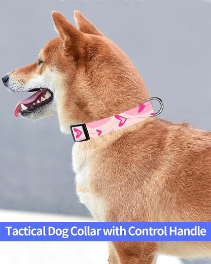 Dog Collar