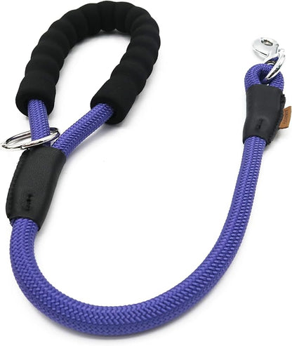 Dog Leash ((1/2") - 2FT, Purple)