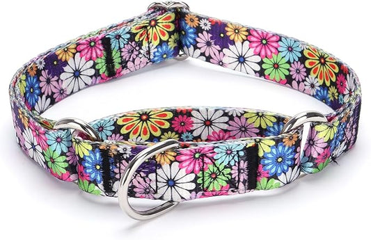 Martingale Dog Collars White4)