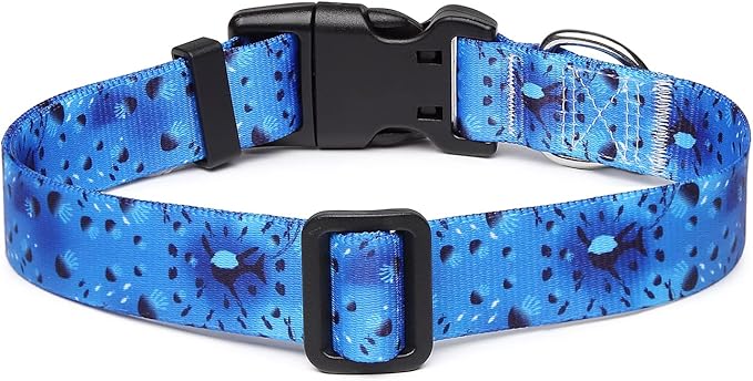 Adjustable Dog Collar with Patterns