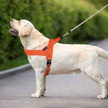 Didog Mesh Flannel Padded Dog Vest Harness,Escape Proof/Quick Fit Reflective Dog Strap Harness, Easy for Training Walking (M:chest 21-26", Orange)