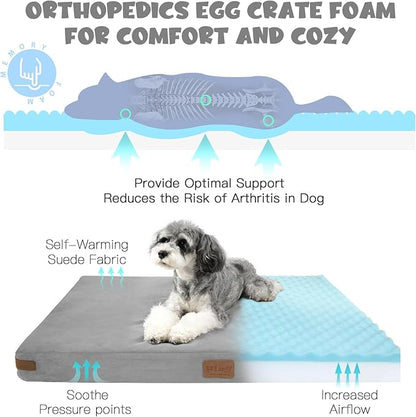Himax Orthopedic Dog Bed for Medium Dogs