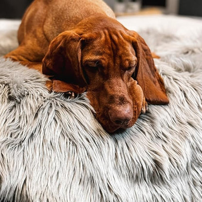 Waterproof Throw Blanket, Pet Bed Blanket for Dogs and Cats, Plush Fur Throw for Sleeping, Whelping, and Comfort, Furniture Protection, Stain Resistant Surface, Machine Washable (Grey, 30x40")