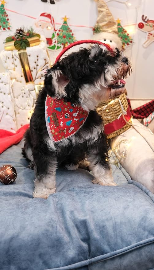 Lionet Paws Christmas Dog Bandana Washable Cotton Handkerchief