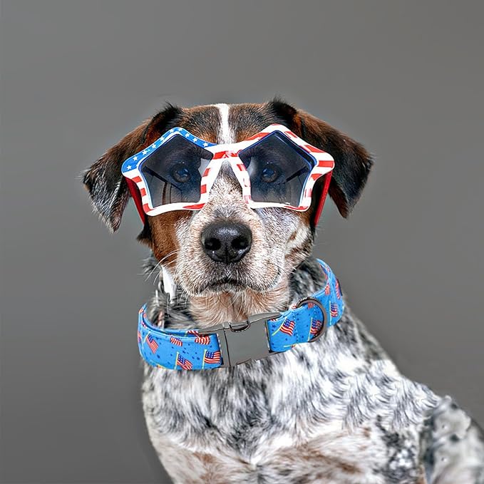 Independence Day Dog Collar