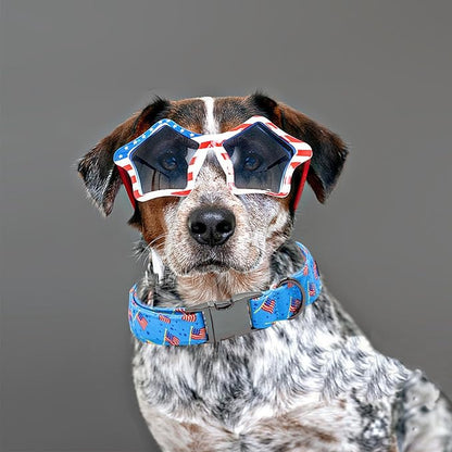 Independence Day Dog Collar, Pet Collar Summer Dog Collar Durable Metal Pet Collar Dog Girl Boy Dog Collars Adjustable Dog Collar for Small Medium Large Dogs