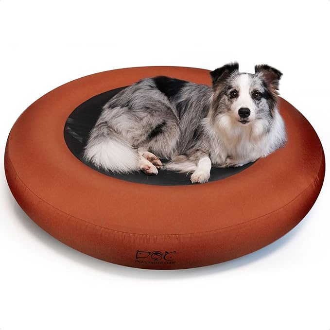 Elevated Dog Bed