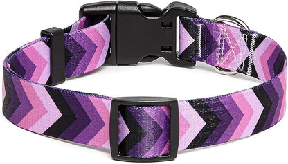 Adjustable Dog Collar with Patterns