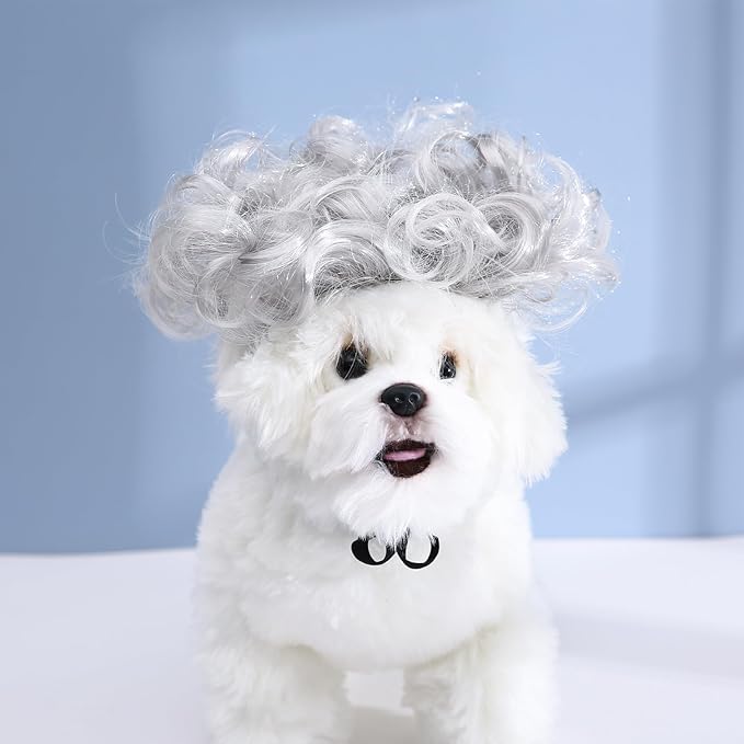 Funny Dog Cat Cosplay Wig, Headwear Apparel Toy, Pet Costumes, Cat Dress up for Halloween, Christmas, Parties, Festivals, Dog Wigs for Small Medium and Large Dogs (Explosive Grey)