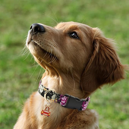 Flower Patterns Dog Collar with Accessories