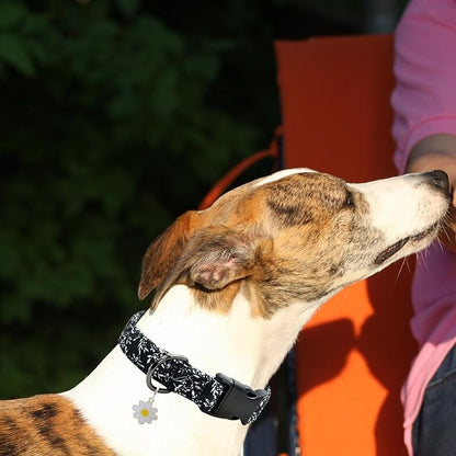 Flower Patterns Dog Collar with Accessories