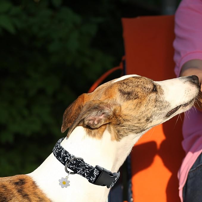 Flower Patterns Dog Collar with Accessories