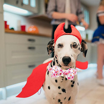 Lionheart glory Halloween Dog Collars, Bowtie Dog Collar Heavy Duty Adjustable Fall Holiday Dog Collar for Large Collar Dog Bow Female or Male Dog Collar Pet Collar Gift