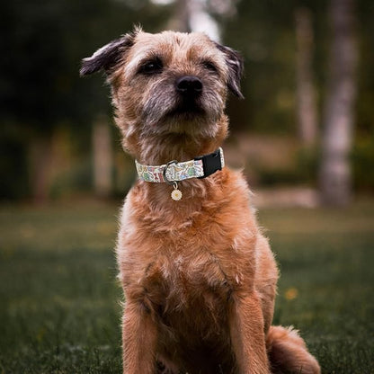 Flower Patterns Dog Collar with Accessories