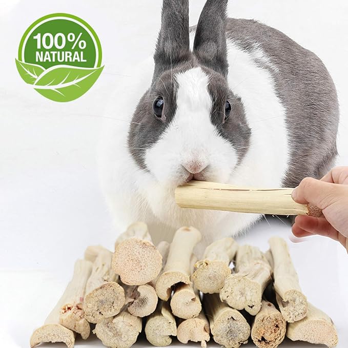 BWOGUE 300g Pet Snacks Sweet Bamboo Chew Toy for Squirrel Rabbits Guinea Pigs Chinchilla Hamster (About 10-14 Sticks)