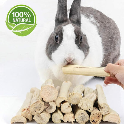 BWOGUE 500g Pet Snacks Sweet Bamboo Chew Toy for Squirrel Rabbits Guinea Pigs Chinchilla Hamster