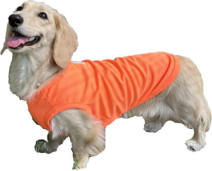 Dachshund Clothes for Dogs Mini and Adults Neon T Shirts (M