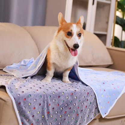 Luciphia 1 Pack 3 Blankets Super Soft Cute Dot Pattern Pet Blanket Flannel Throw for Dog Puppy Cat Dot Medium(30x20), Blue