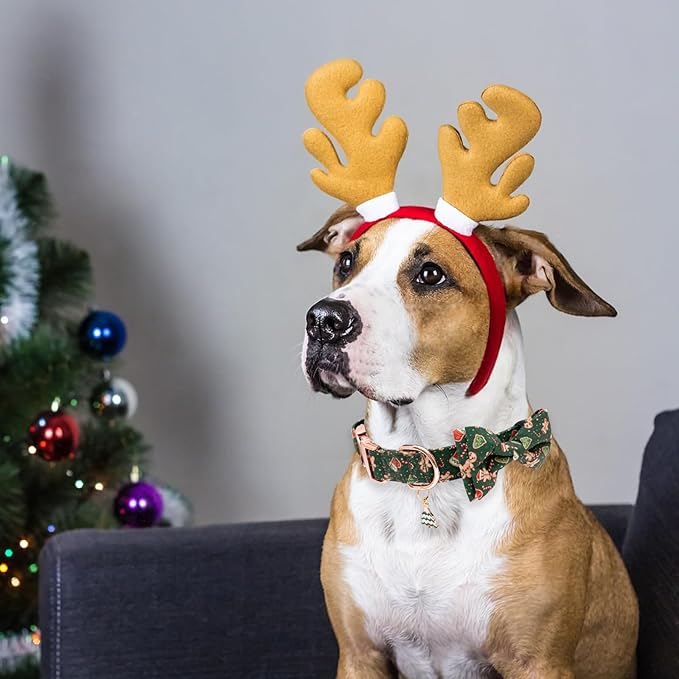 Faygarsle Green Dog Collar Christmas Design with Bow