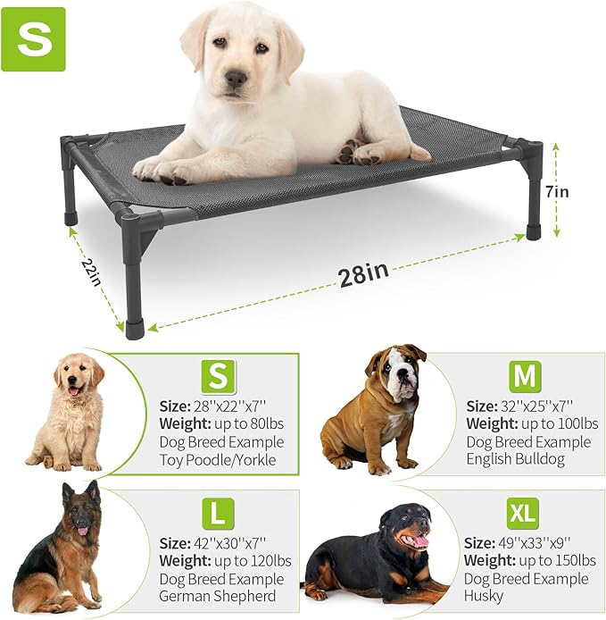 Elevated Dog Bed