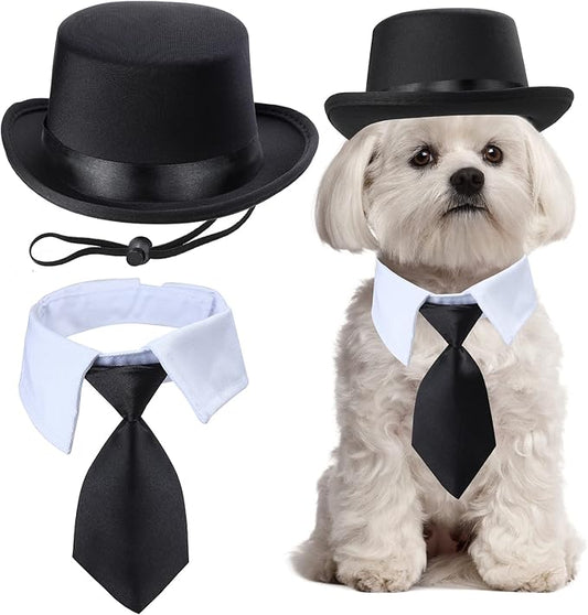 Yewong 2 Pieces Pet Formal Accessories Set - Pet Top Hat with Pet Formal Necktie/Bowtie Birthday Party Gradation Halloween Costumes Accessories for Dog Cat (Necktie Collar)