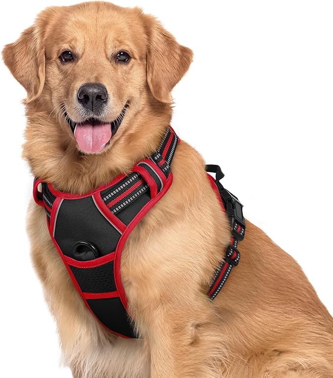 rabbitgoo Dog Harness, No-Pull Pet Harness with 2 Leash Clips, Adjustable Soft Padded Dog Vest, Reflective No-Choke Pet Oxford Vest with Easy Control Handle for Large Dogs, Black & Red, XL