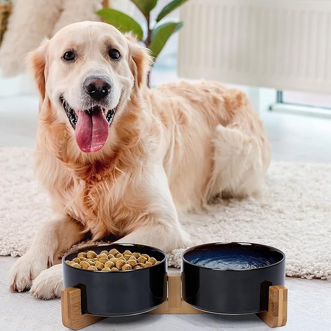 SPUNKYJUNKY Ceramic Dog and Cat Bowl Set with Wooden Stand, Modern Cute Weighted Food Water Set for Small Size Dogs (13.5OZ) & Medium Sized Dogs (28.7OZ) & Cats (3.6 Cups, 2 × Starry Blue)