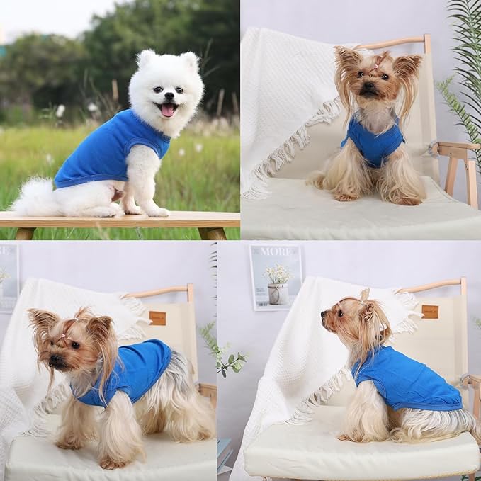 Dog Shirt Vest Clothes for Small Dogs Boy Girl Summer Solid Stretchy Puppy T-Shirts Soft Cool Breathable Lightweight Dog Sweatshirt Pet Cat Outfit