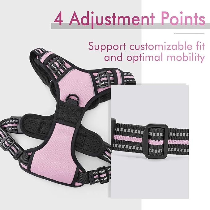 rabbitgoo Dog Harness 2 Leash