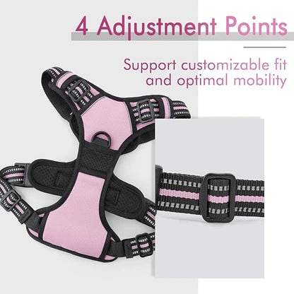 rabbitgoo Dog Harness 2 Leash