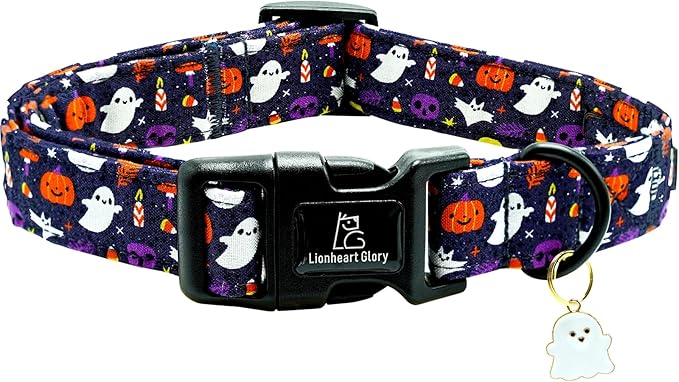 Lionheart glory Dog Collars Fall Halloween Pumpkin Collar